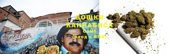 сатива Армянск
